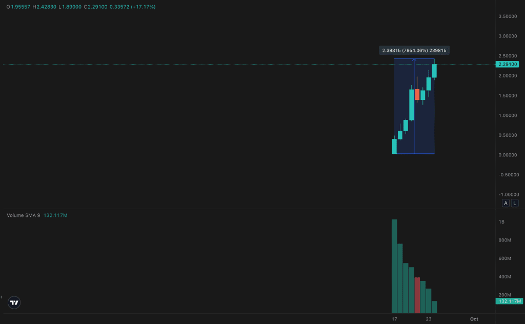 نمودار قیمت استر